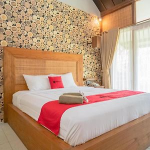 RedDoorz Plus @ Raya Senggigi Lombok